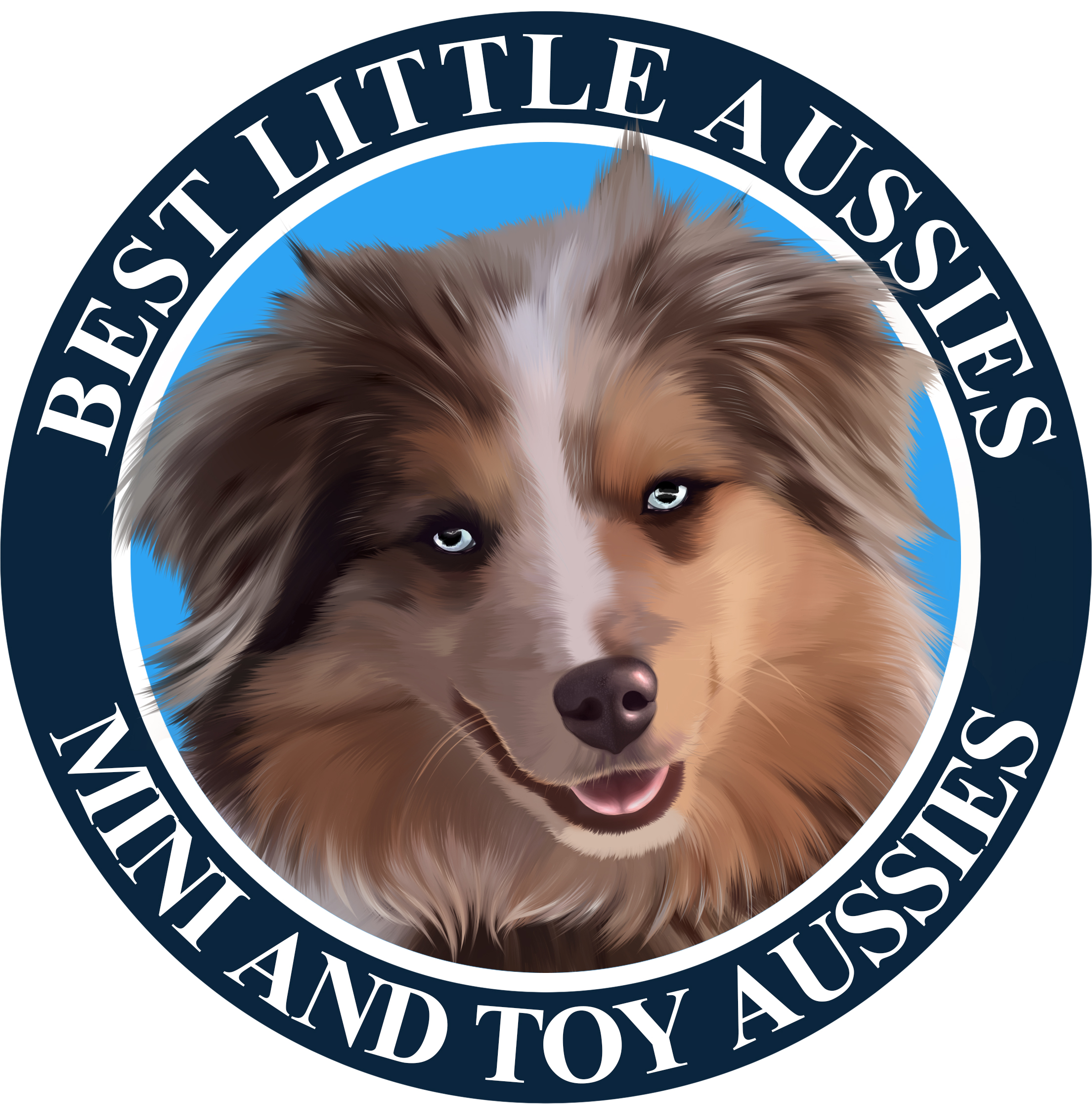 Best Little Aussies - Find the Best Little Aussie for you!