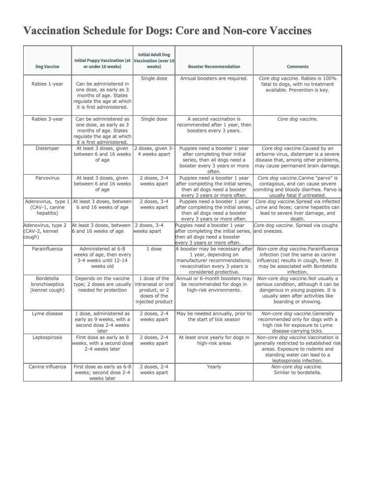 Welcome Packet - Best Little Aussies - Find the Best Little Aussie for you!
